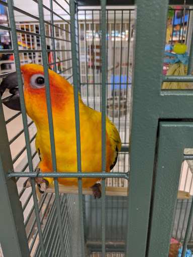 Pet Supply Store «Pet Valu», reviews and photos, 541 S Breiel Blvd, Middletown, OH 45044, USA