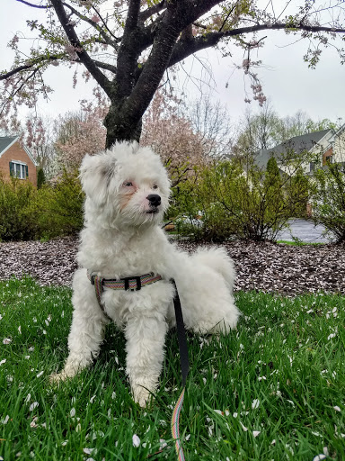 Pet Supply Store «Pet Supplies Plus», reviews and photos, 350 Ramapo Valley Rd #28, Oakland, NJ 07436, USA