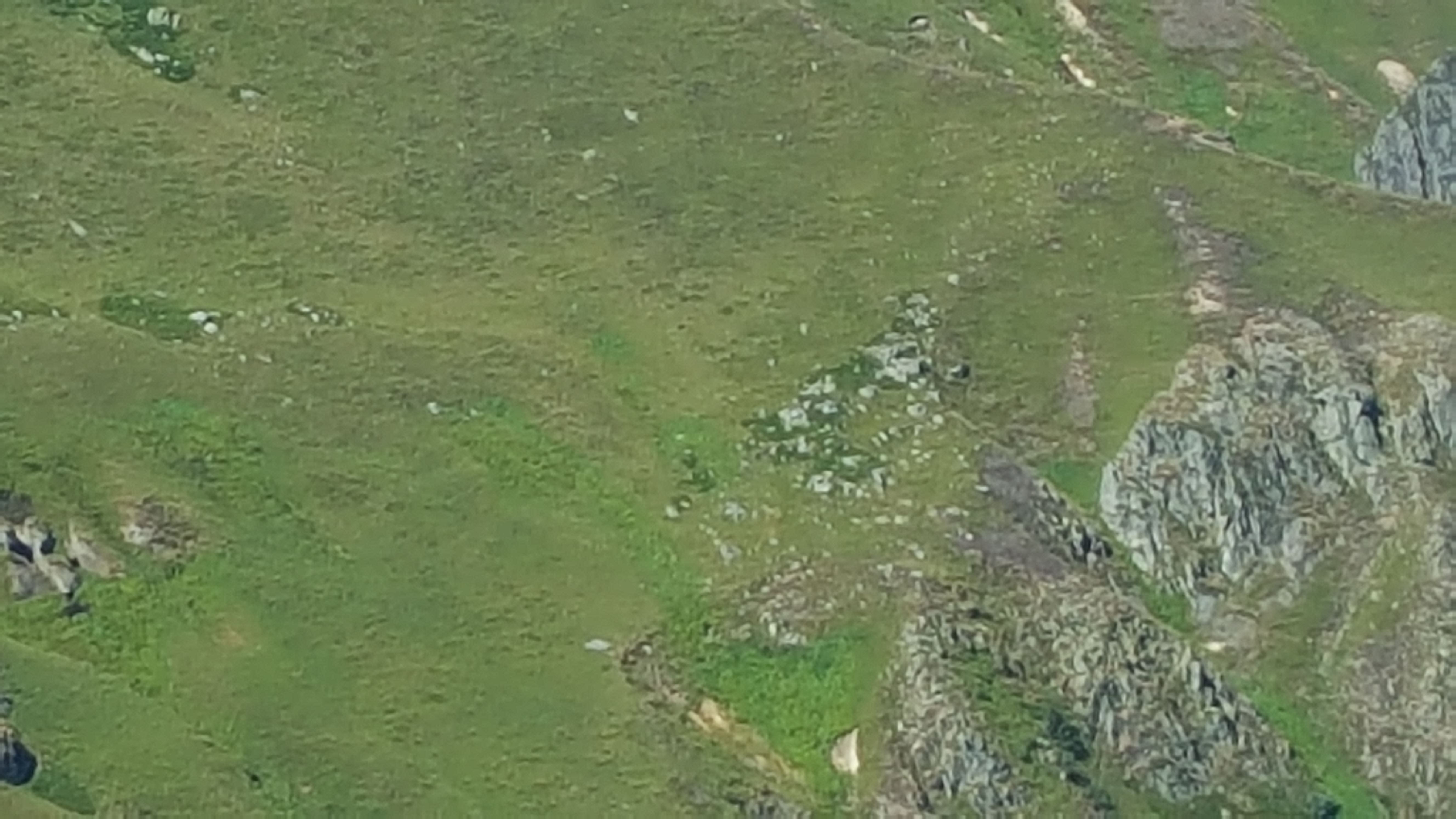Photo n° 28 de l'avis de Dominique.a fait le 19/08/2018 à 15:04