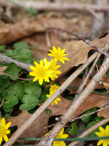 State Government Office «Wilmington State Parks», reviews and photos, 1021 W 18th St, Wilmington, DE 19802, USA