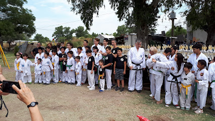 Walter Diaz taekwondo team