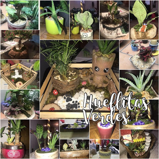 Huellitas Verdes – Tlalnepantla de Baz