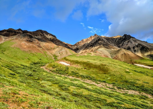 National Park «Denali National Park and Preserve», reviews and photos