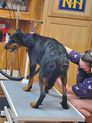 Pet Supply Store «Pet Supply Outlet», reviews and photos, 150 Spaulding Tpke, Portsmouth, NH 03801, USA