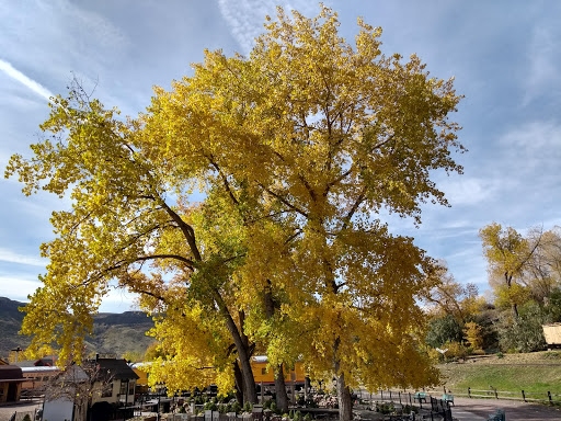 Museum «Colorado Railroad Museum», reviews and photos, 17155 W 44th Ave, Golden, CO 80403, USA