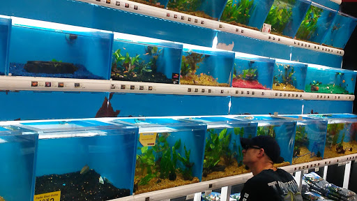 Pet Supply Store «Pet Supermarket», reviews and photos, 7822 Gall Blvd, Zephyrhills, FL 33541, USA