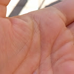 Photo n°1 de l'avis de Alexa.e fait le 04/02/2024 à 14:15 sur le  Coccodi Dolce e Salato à Cagliari