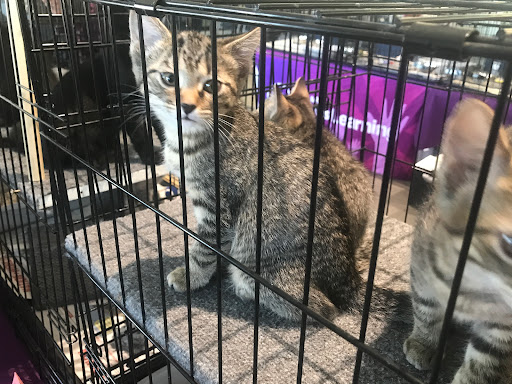 Subaru Dealer «Adventure Subaru», reviews and photos, 1991 Mentor Ave, Painesville, OH 44077, USA