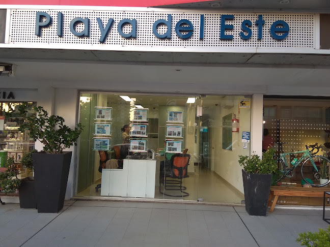 Opiniones de Inmobiliaria Playa Del Este en Maldonado - Agencia inmobiliaria