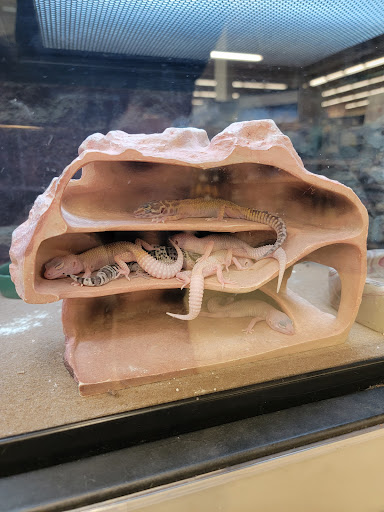 Pet Supply Store «Petco Animal Supplies», reviews and photos, 2095 N Harris Blvd, Layton, UT 84041, USA