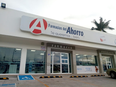 Farmacia Del Ahorro, , Chiapa De Corzo