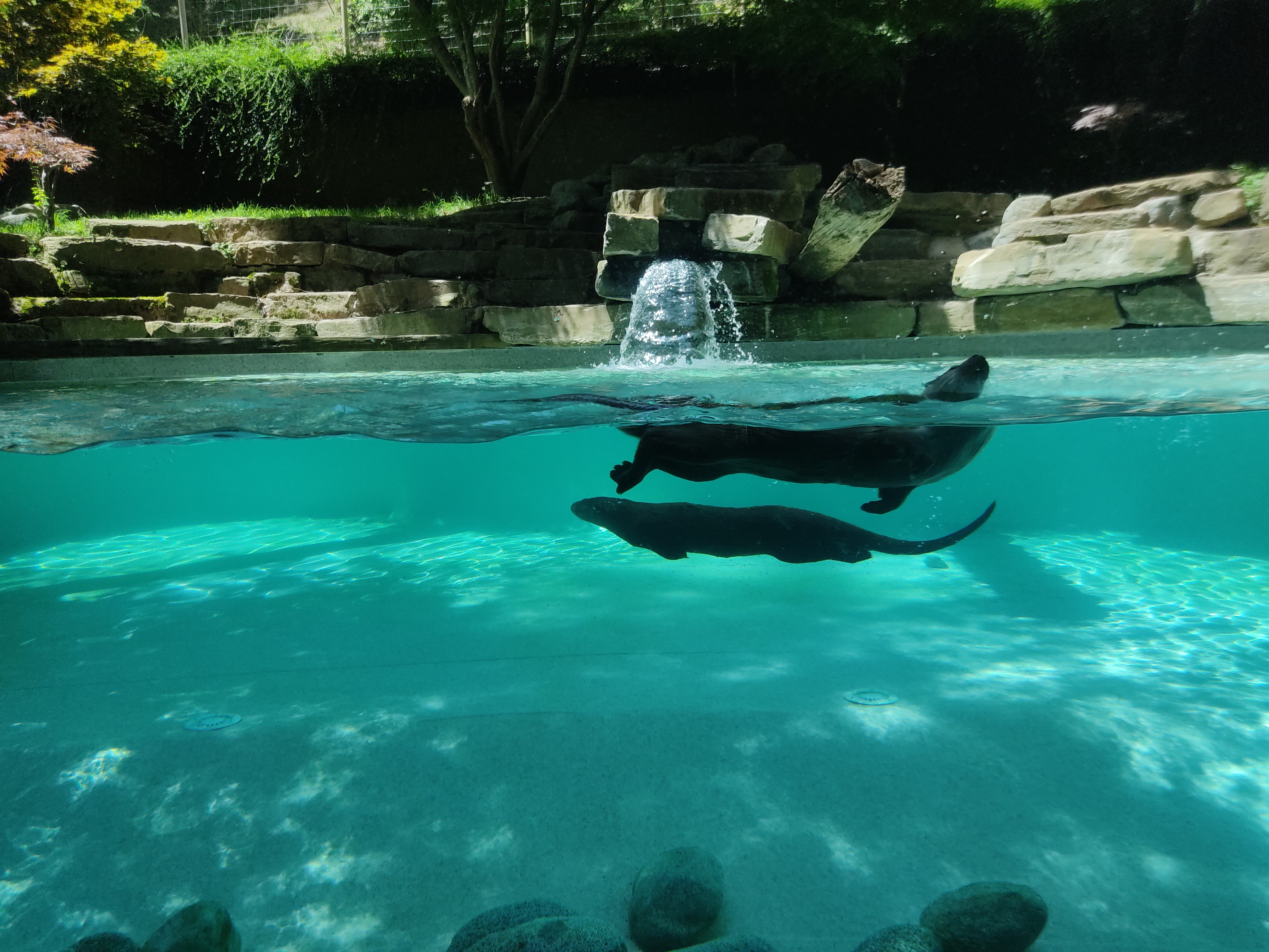 Photo n° 22 de l'avis de David.i fait le 18/11/2019 à 20:29