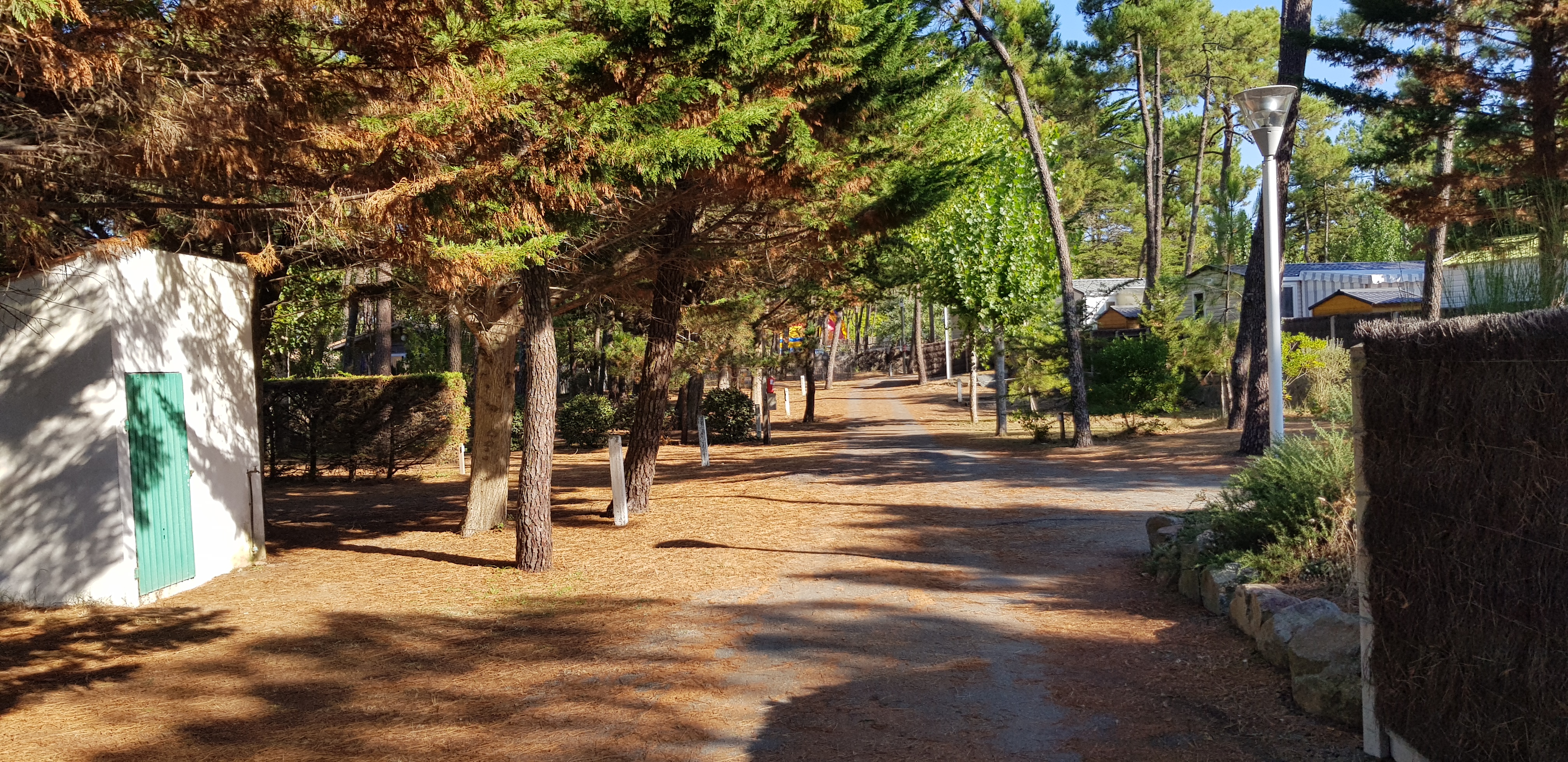 Photo n° 5 de l'avis de DIDIER.O fait le 01/09/2018 à 11:31