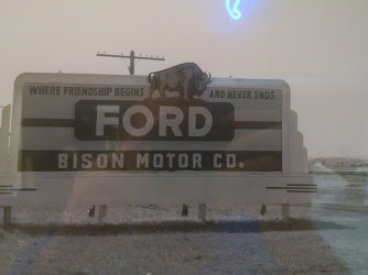 Bison Ford