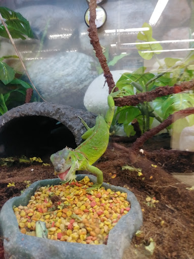 Pet Supply Store «Petco Animal Supplies», reviews and photos, 6301 Pats Ranch Rd, Mira Loma, CA 91752, USA