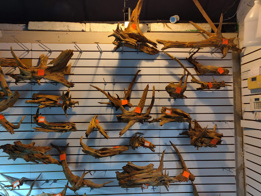 Tropical Fish Store «Petworld», reviews and photos, 2700 Carson St, Haltom City, TX 76117, USA