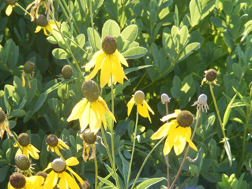 Nature Preserve «Lakeside Nature Center», reviews and photos, 4701 E Gregory Blvd, Kansas City, MO 64132, USA