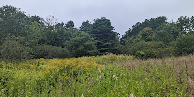 NH Audubon Massabesic Center