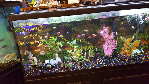 Pet Store «Pet Kingdom», reviews and photos, 4650 S Cleveland Ave, Fort Myers, FL 33907, USA