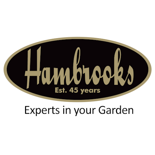 Hambrooks Open Times