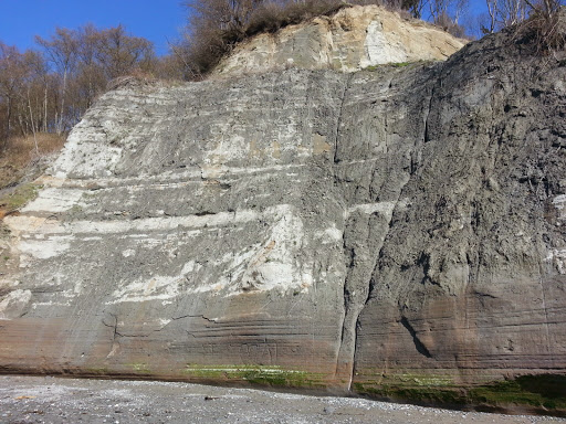 Park «Discovery Park», reviews and photos, 3801 Discovery Park Blvd, Seattle, WA 98199, USA