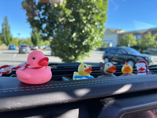 Auto Repair Shop «Central Automotive Repair & Service Inc.», reviews and photos, 615 Old Connecticut Path, Framingham, MA 01701, USA