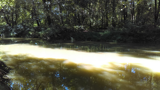 Park «Government Island», reviews and photos, 191 Coal Landing Road, Stafford, VA 22554, USA