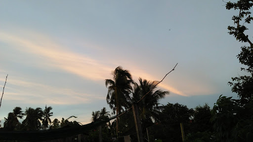 Công ty Trà Bắc