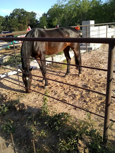 Park «Bob Jones Park», reviews and photos, 3901 N White Chapel Blvd, Southlake, TX 76092, USA