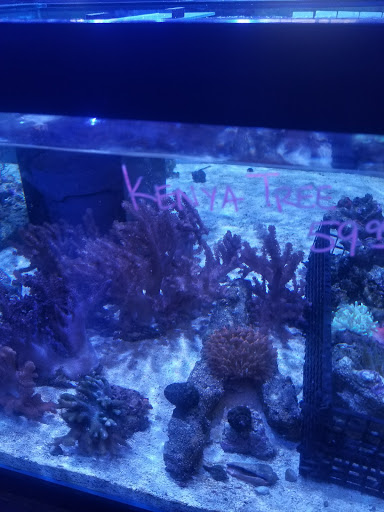 Pet Supply Store «Pet Supreme», reviews and photos, 12823 Foothill Blvd, Sylmar, CA 91342, USA