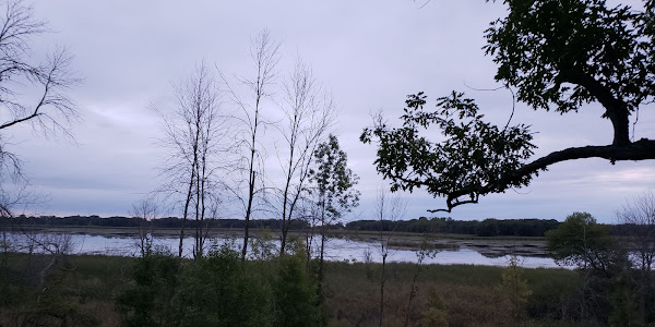 Tobico Marsh Nature Area