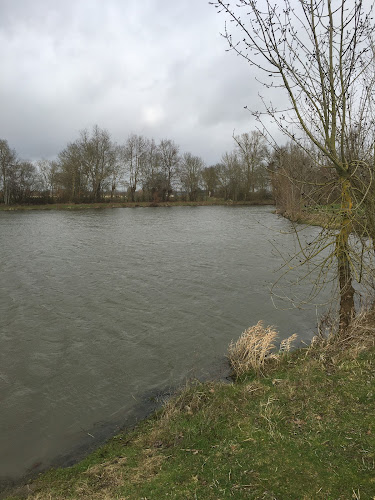 Étang de La Grand’ Fosse à Mauges-sur-Loire