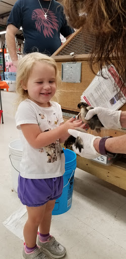 Hardware Store «Woodville Ace Hardware», reviews and photos, 9382 Woodville Hwy, Tallahassee, FL 32305, USA