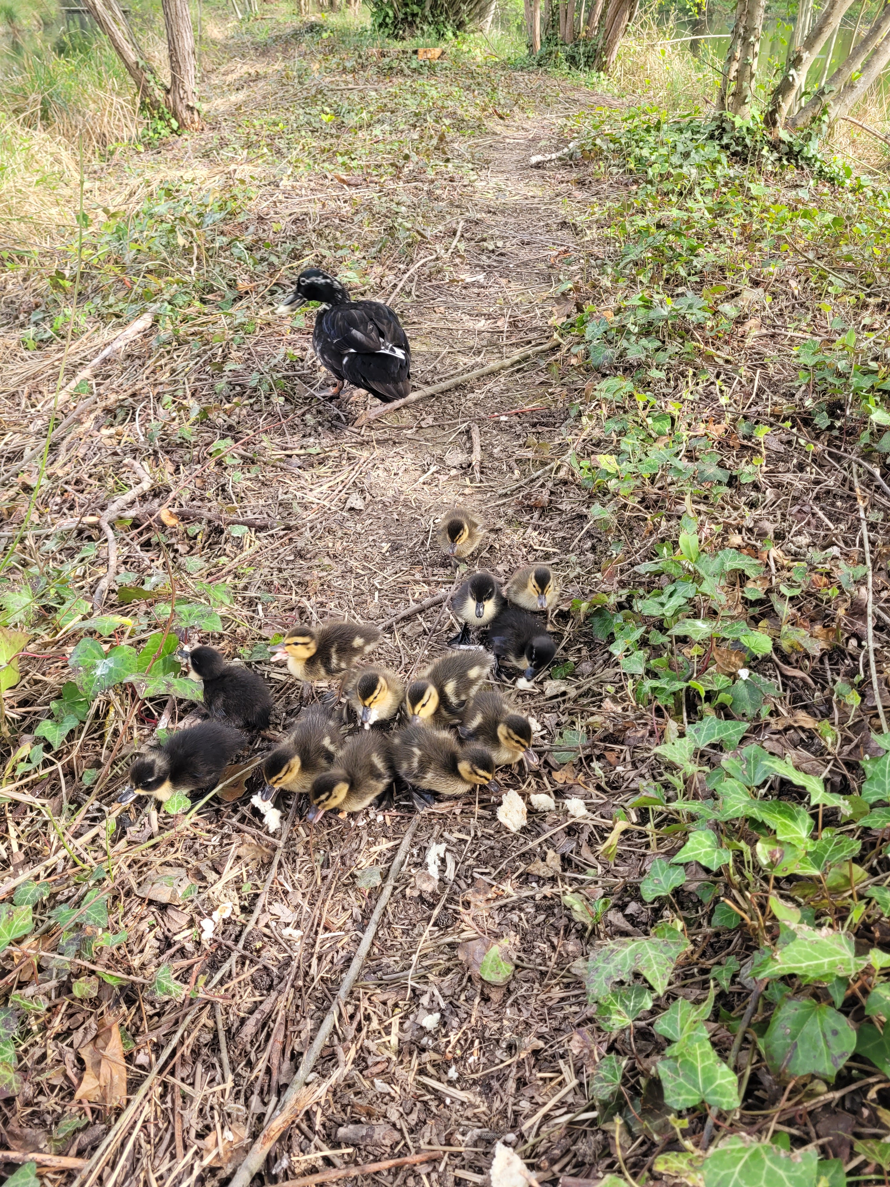 Photo n° 1 de l'avis de MUSTAFA.A fait le 12/09/2019 à 15:13