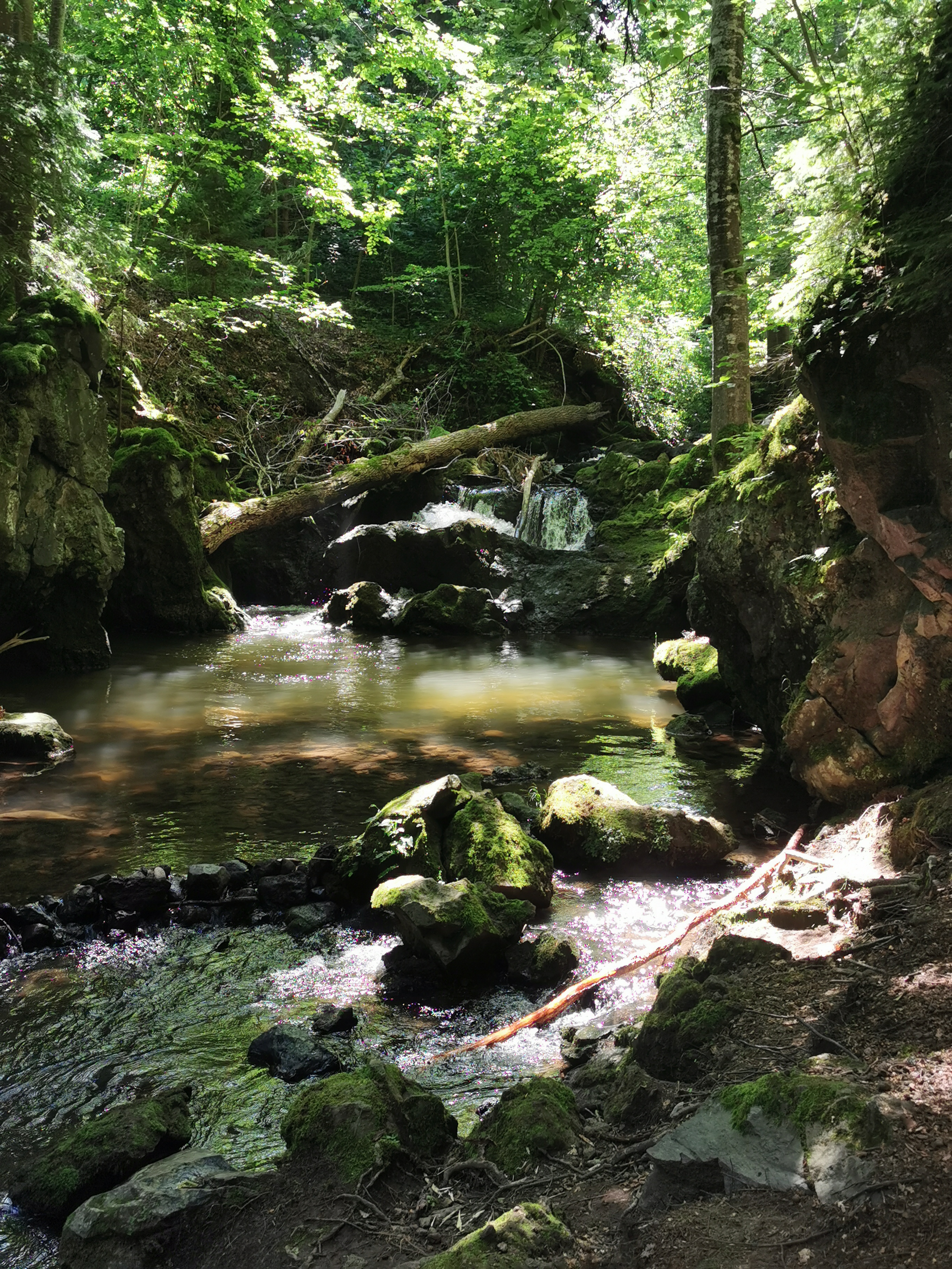 Photo n° 1 de l'avis de Alexis.U fait le 17/07/2021 à 14:51