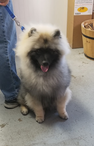 Pet Supply Store «Cheshire Cat & Dog Too», reviews and photos, 1320 Waterbury Rd, Cheshire, CT 06410, USA