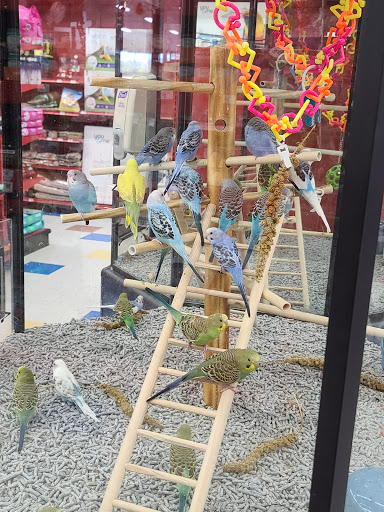 Pet Supply Store «Petco Animal Supplies», reviews and photos, 2689 Market Center Dr, Rockwall, TX 75032, USA