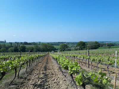 Domaine CALBO à Espiens
