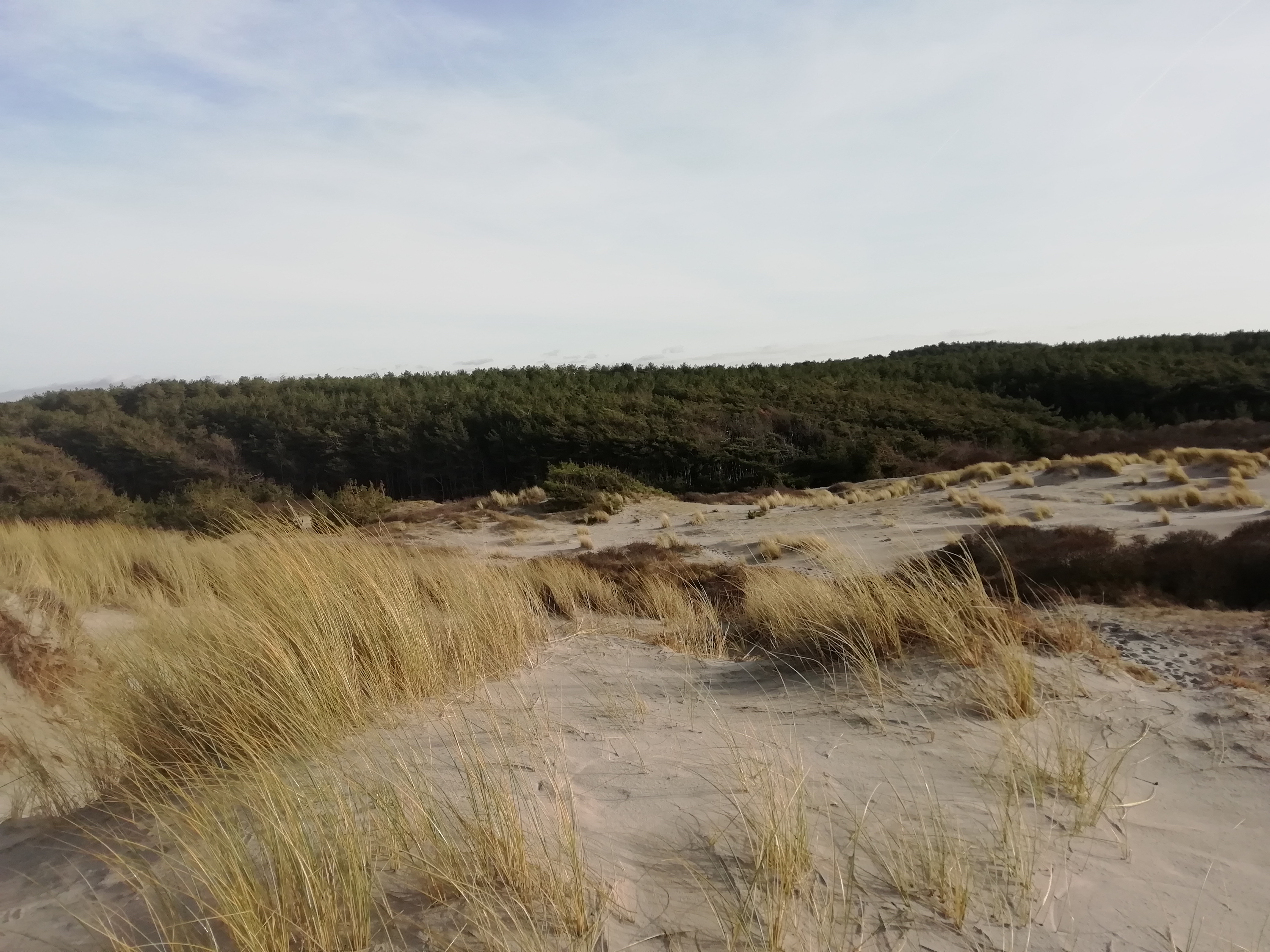 Photo n° 4 de l'avis de Christine.a fait le 13/02/2019 à 08:57