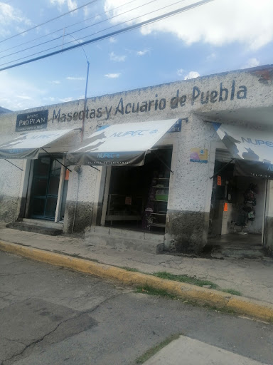 Mascotas y Acuario de Puebla