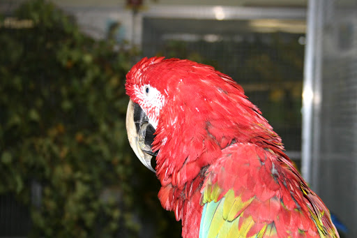Heinz Schlanstedt Zoofachgeschäft unter Königswartha, 