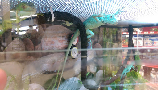 Pet Supply Store «Petco Animal Supplies», reviews and photos, 1301 S California Blvd, Walnut Creek, CA 94596, USA