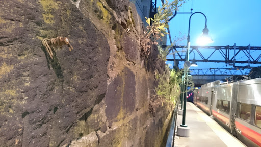 Grocery Store «C-Town Supermarkets», reviews and photos, 1 Park Ave, Mt Vernon, NY 10550, USA