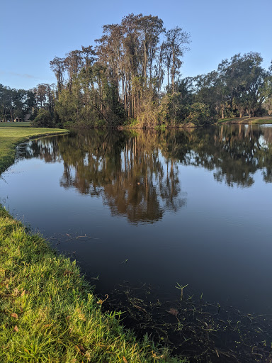 Golf Shop «Seven Springs Golf Shop», reviews and photos, 3535 Trophy Blvd, Trinity, FL 34655, USA