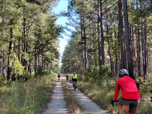 National Forest «Francis Marion National Forest», reviews and photos, 2967 Steed Creek Rd, Huger, SC 29450, USA