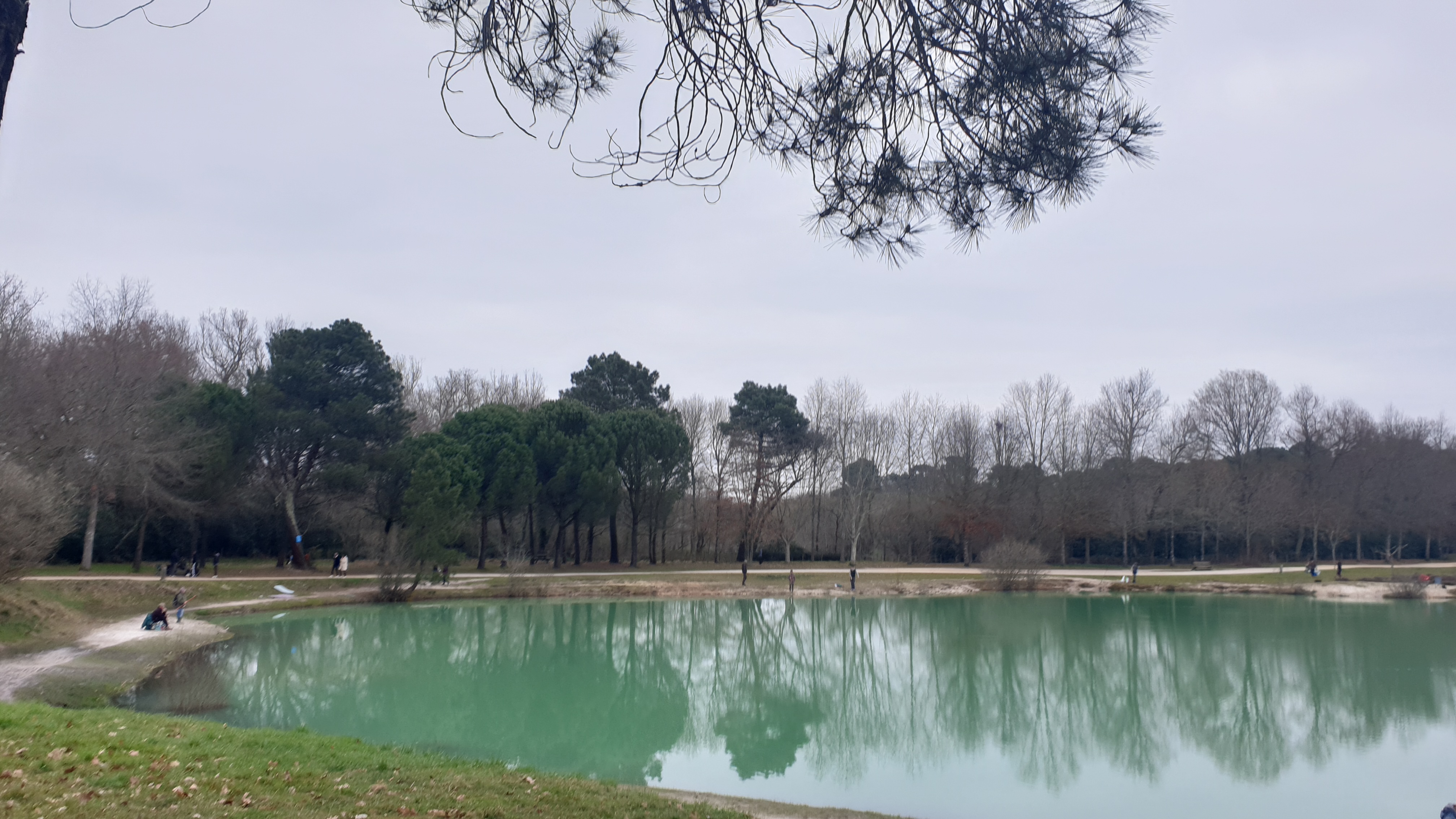 Photo n° 1 de l'avis de Naffrichoux.� fait le 08/03/2021 à 00:28