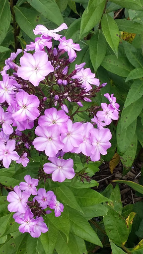 Park «Oxbow Park & Zollman Zoo», reviews and photos, 5731 County Rd 105 NW, Byron, MN 55920, USA