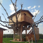 Photo n°6 de l'avis de Marco.o fait le 20/03/2022 à 14:13 sur le  Agriturismo La casa sull'albero à Solarolo