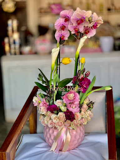 Flores Rosita – Luvianos