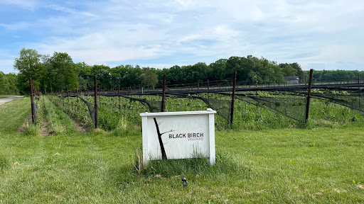 Vineyard «Black Birch Vineyard/ Black Birch Winery», reviews and photos, 108-109 Straits Rd, Hatfield, MA 01066, USA